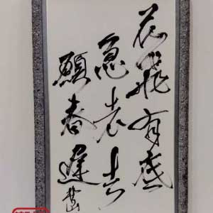 花飛有底急老去願春遲